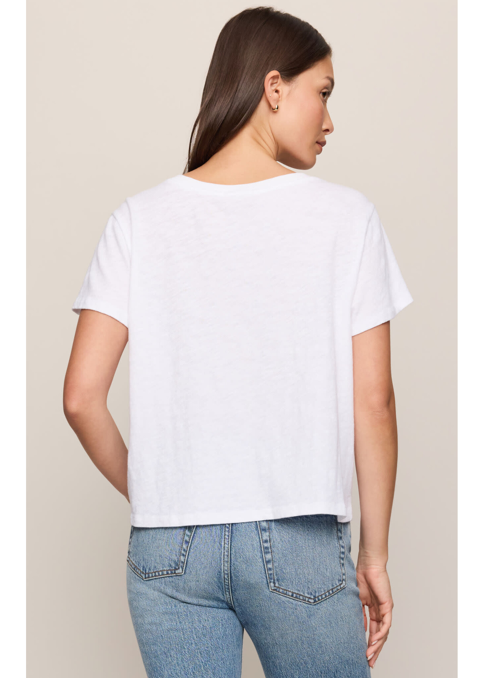 Z Supply ZS Nomad V-Neck Tee