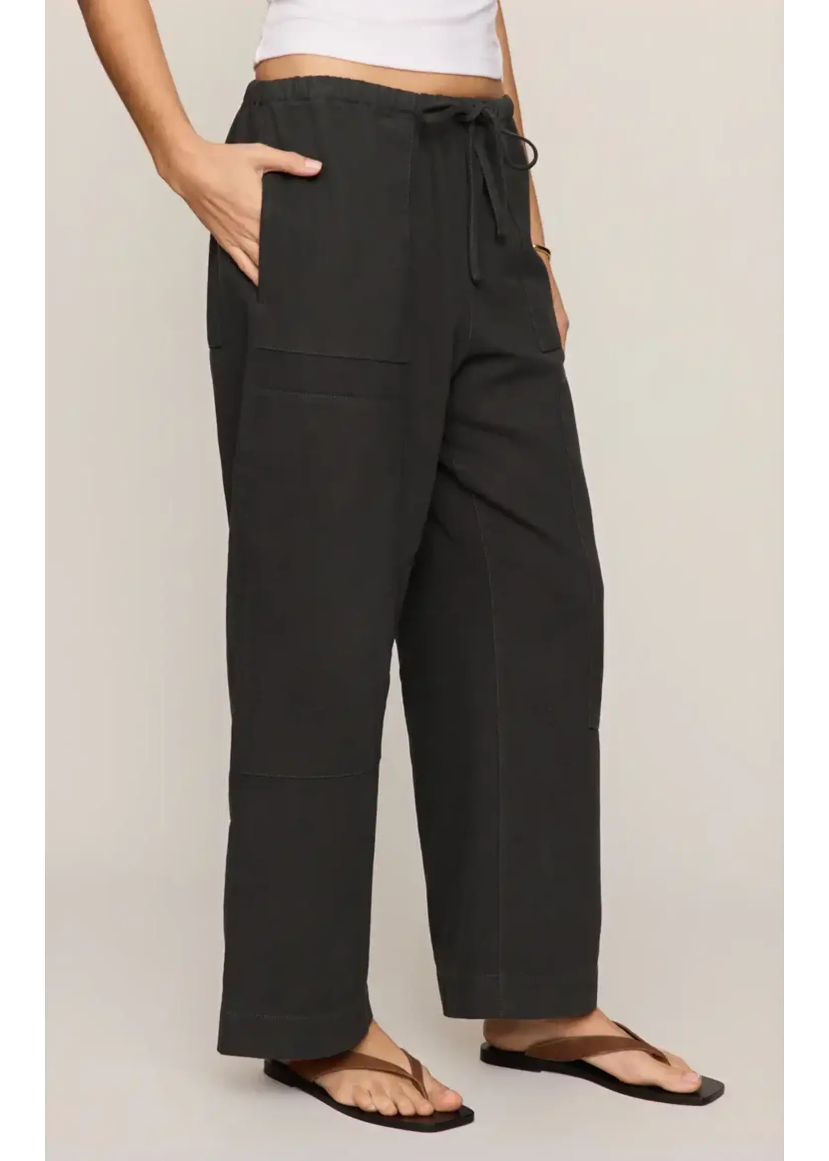 Z Supply ZS Kit Twill Carpenter Pant