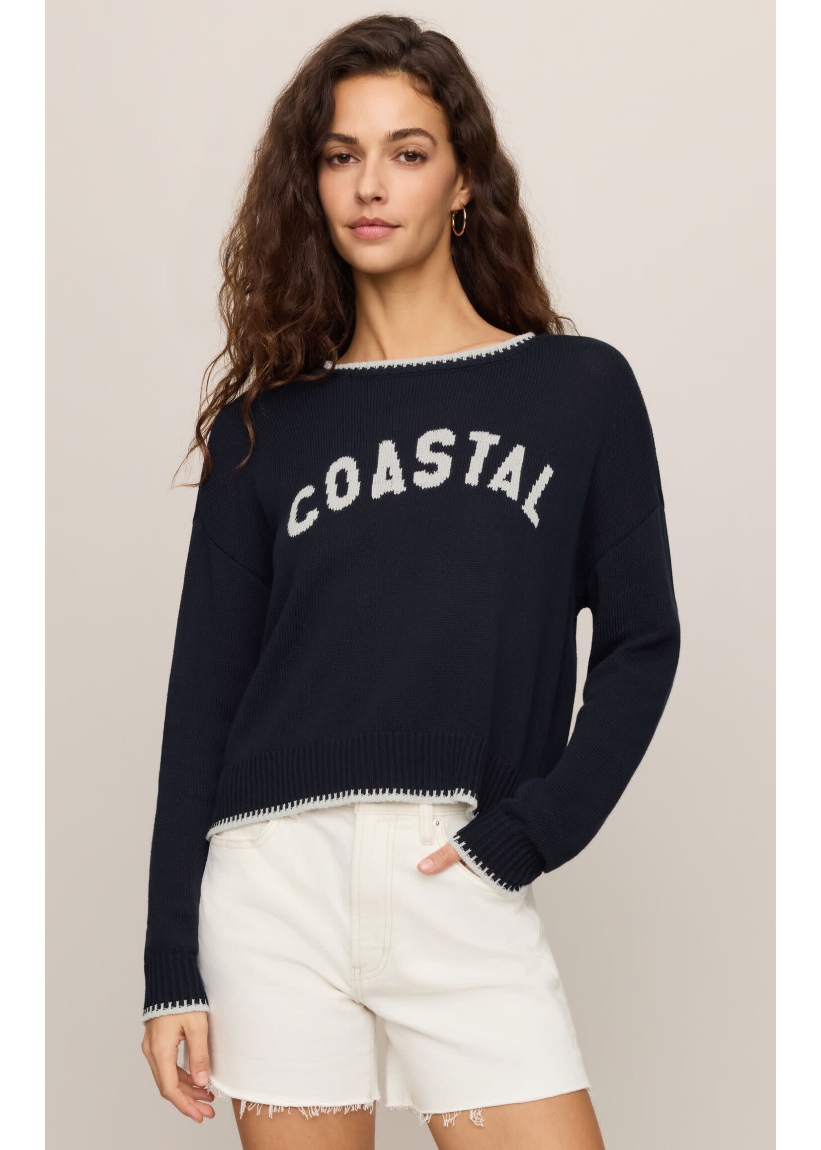 Z Supply ZS Coastal Sienna Sweater