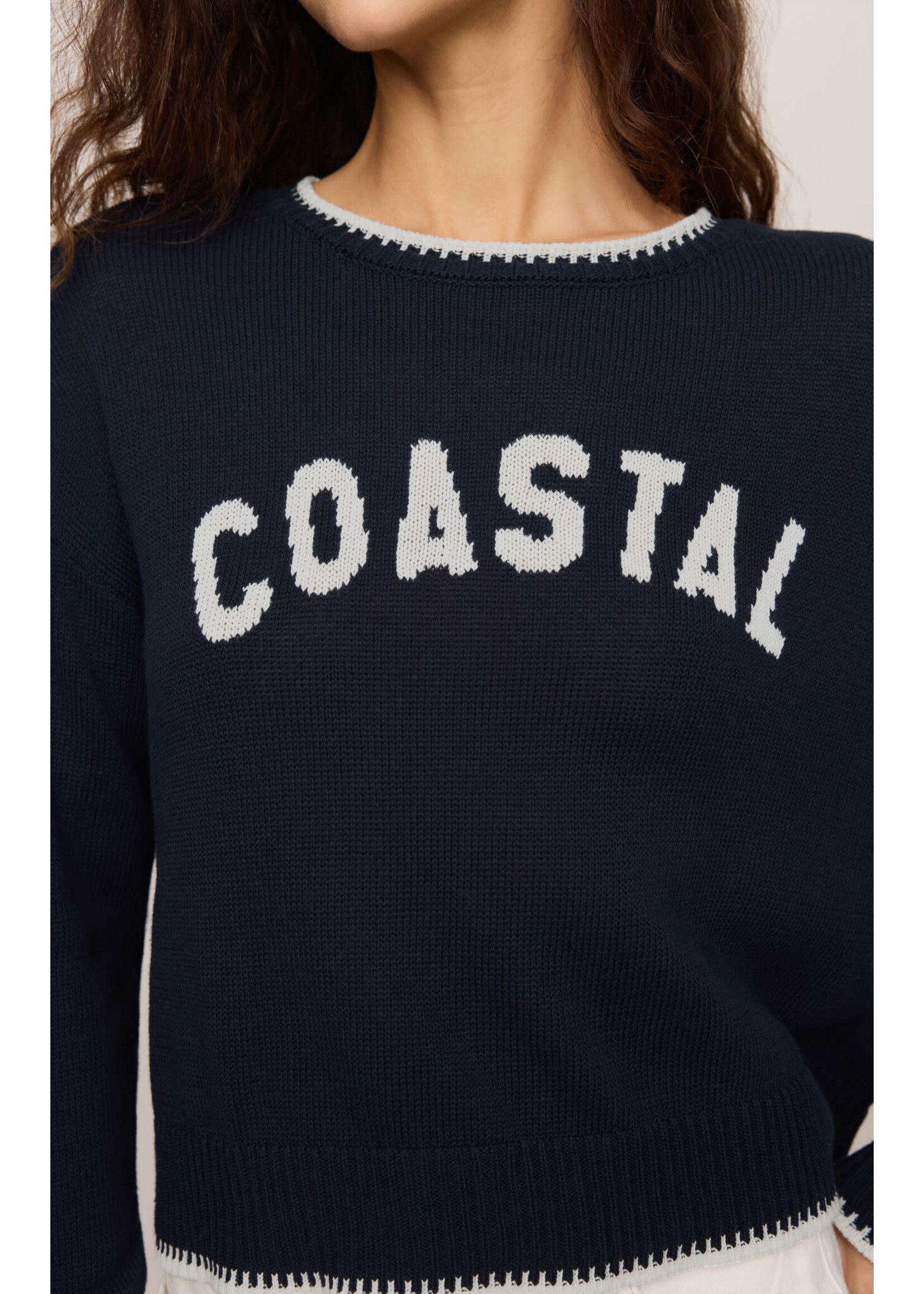 Z Supply ZS Coastal Sienna Sweater