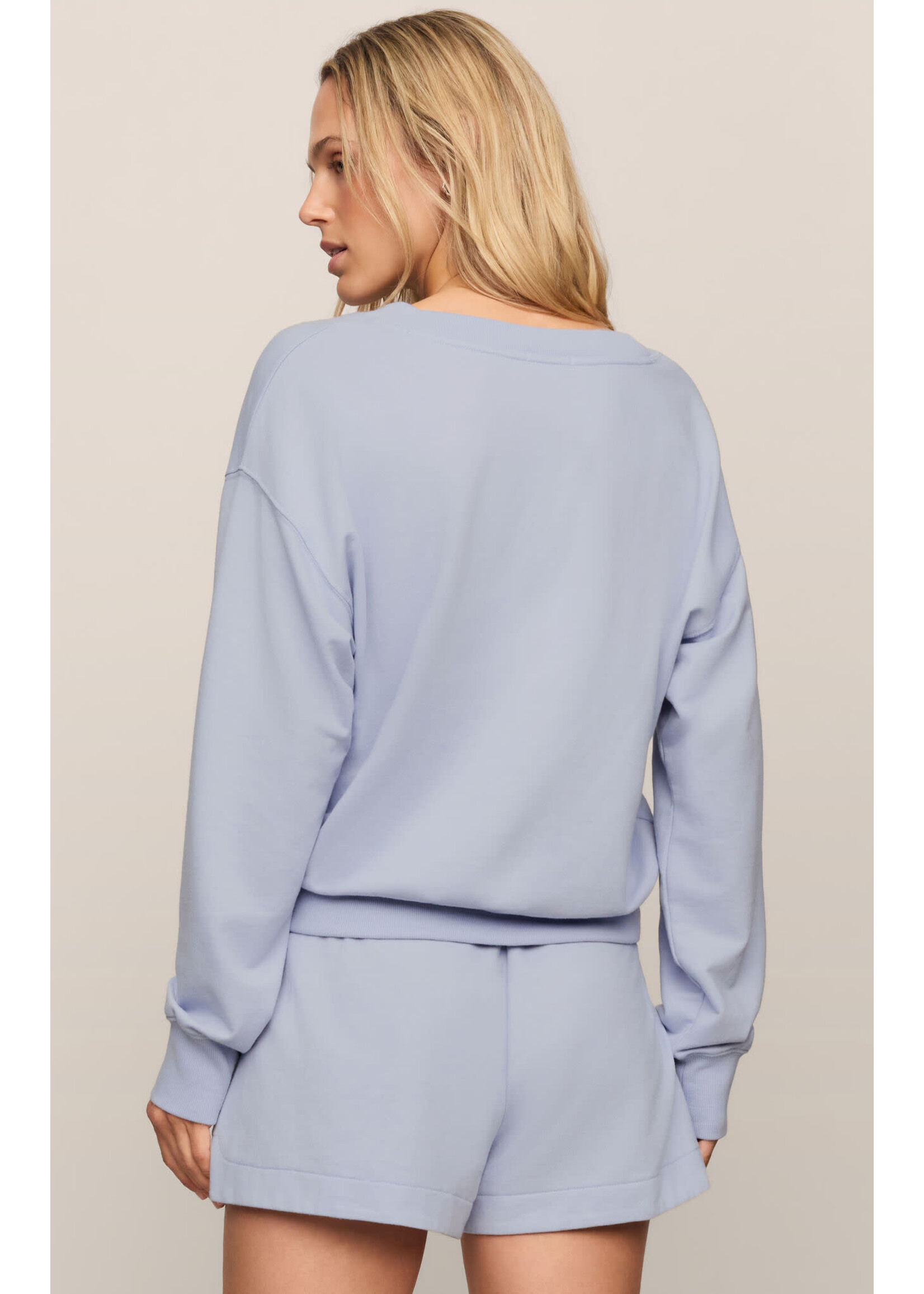Z Supply ZS The Everyday V-Neck