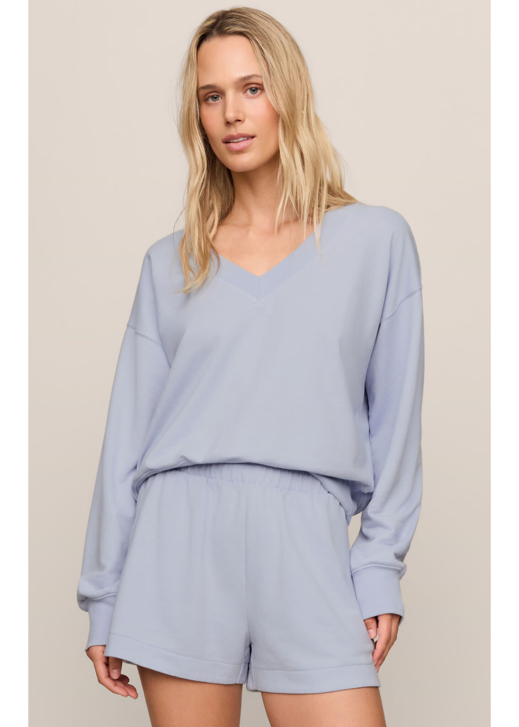 Z Supply ZS The Everyday V-Neck