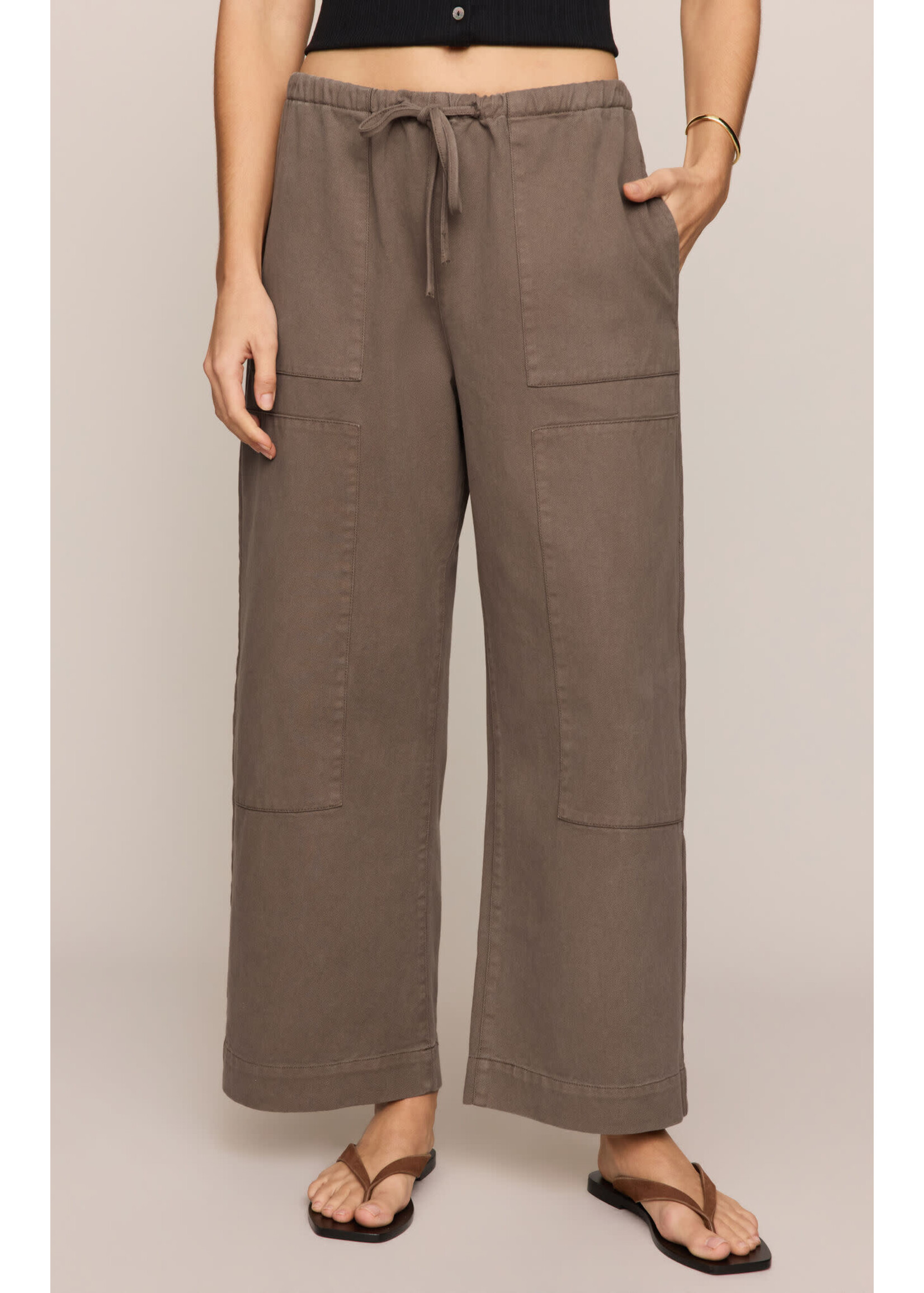 Z Supply ZS Kit Twill Carpenter Pant