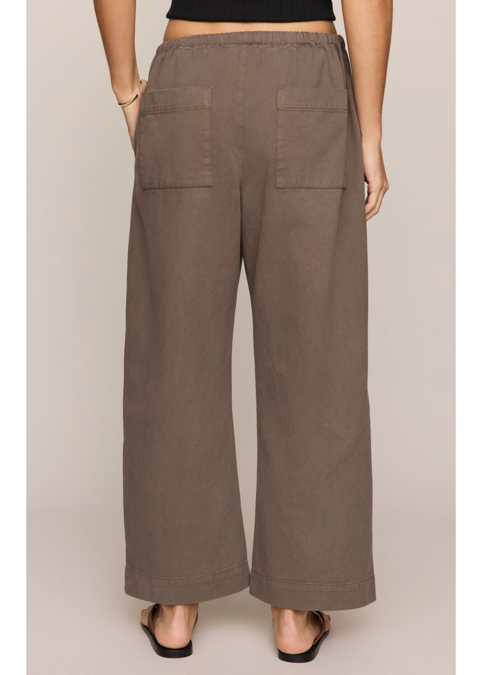 Z Supply ZS Kit Twill Carpenter Pant