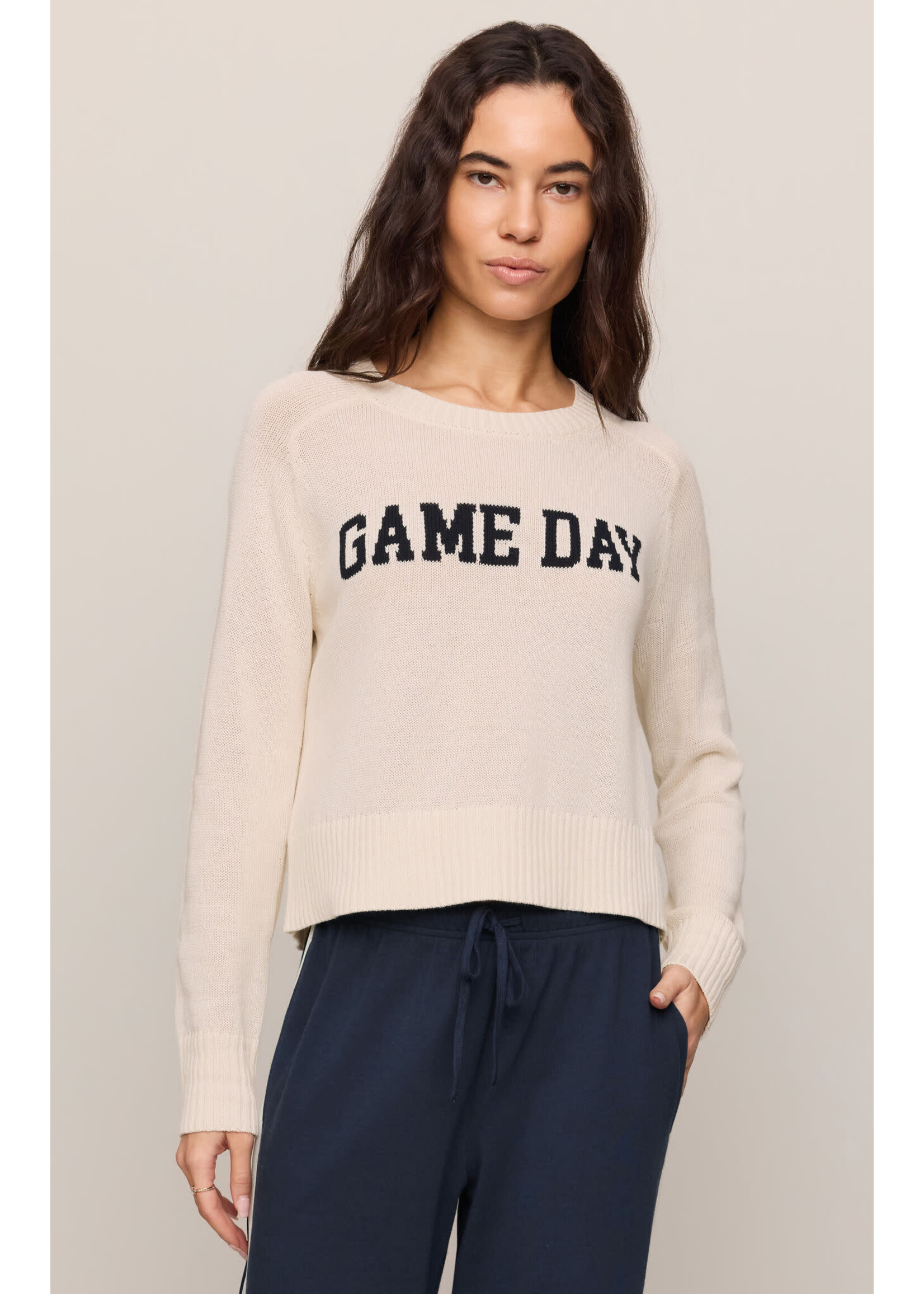 Z Supply ZS Varsity Stand In Sweater