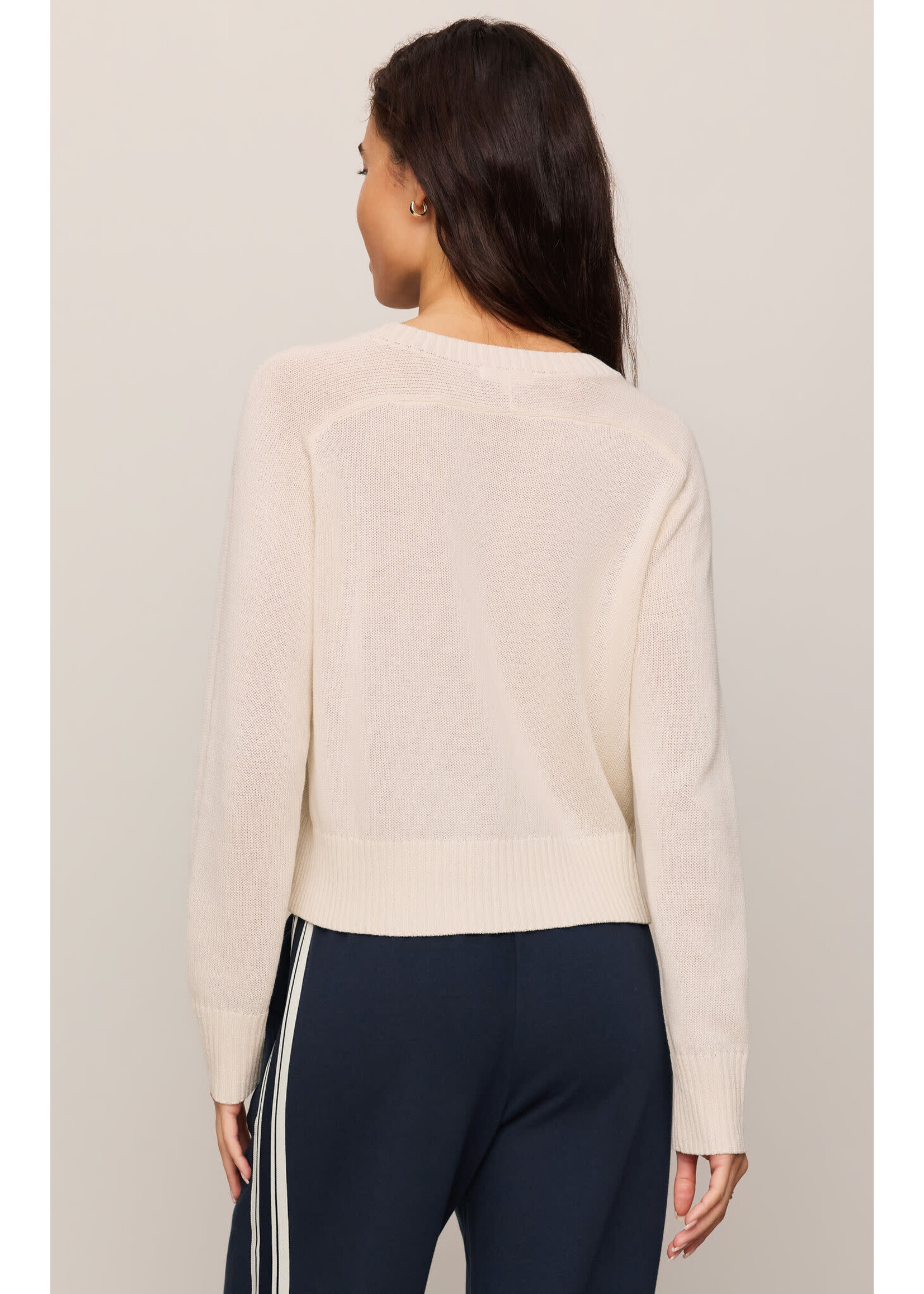 Z Supply ZS Varsity Stand In Sweater