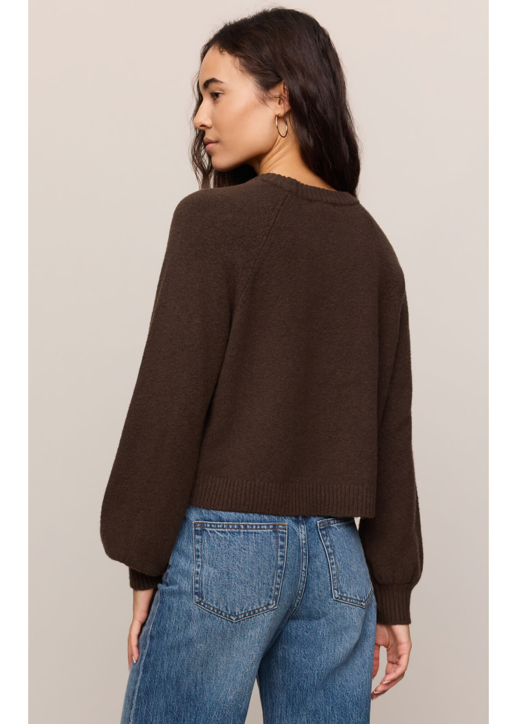Z Supply ZS Coming  Up Sweater