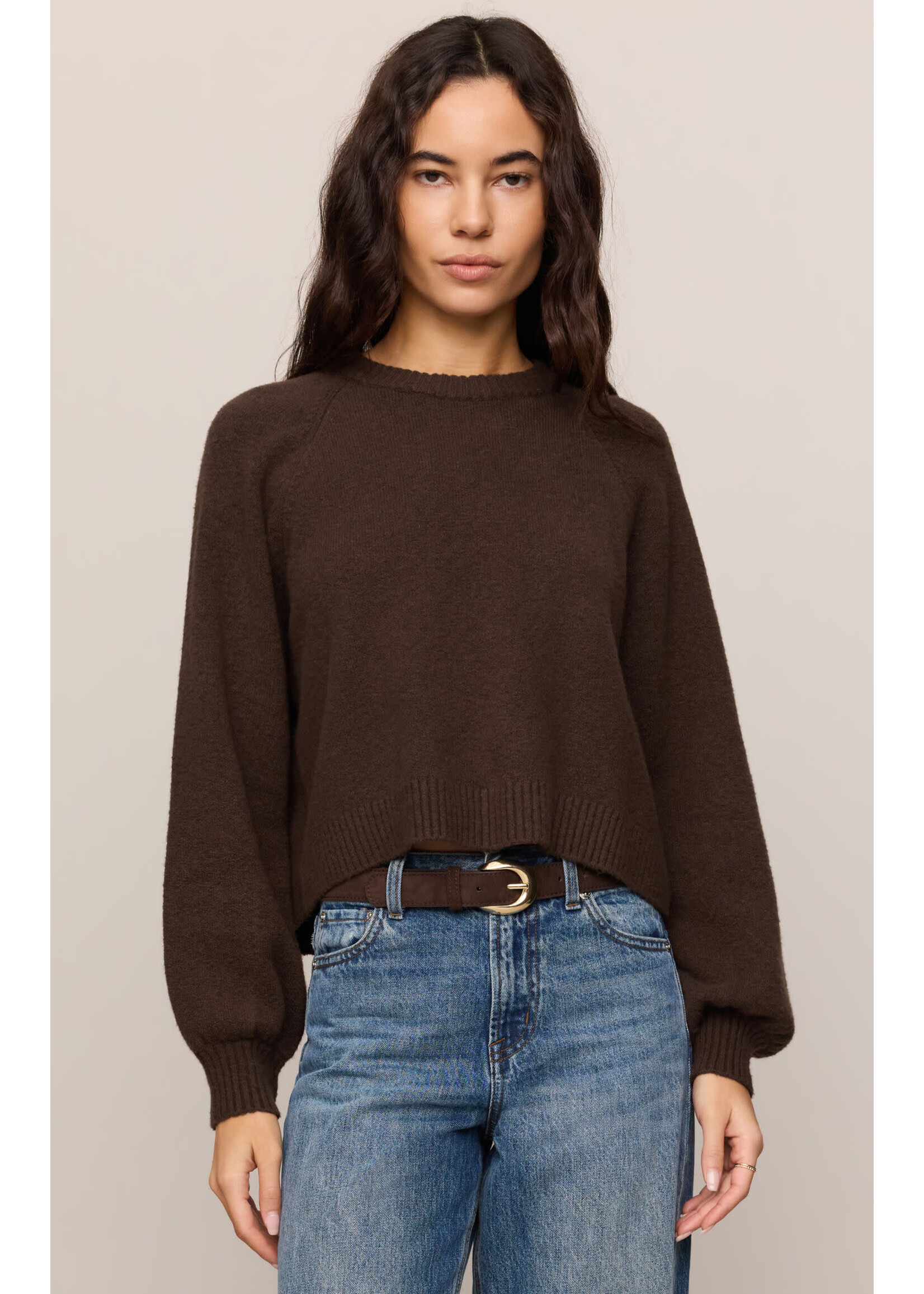 Z Supply ZS Coming  Up Sweater