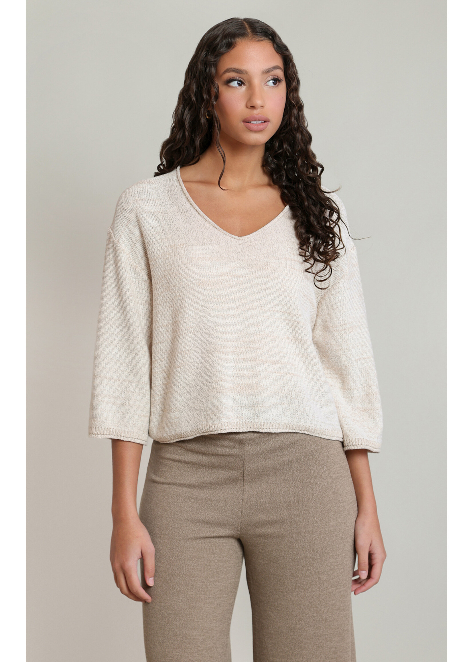 Dex Dex V-Neck Sweater Top