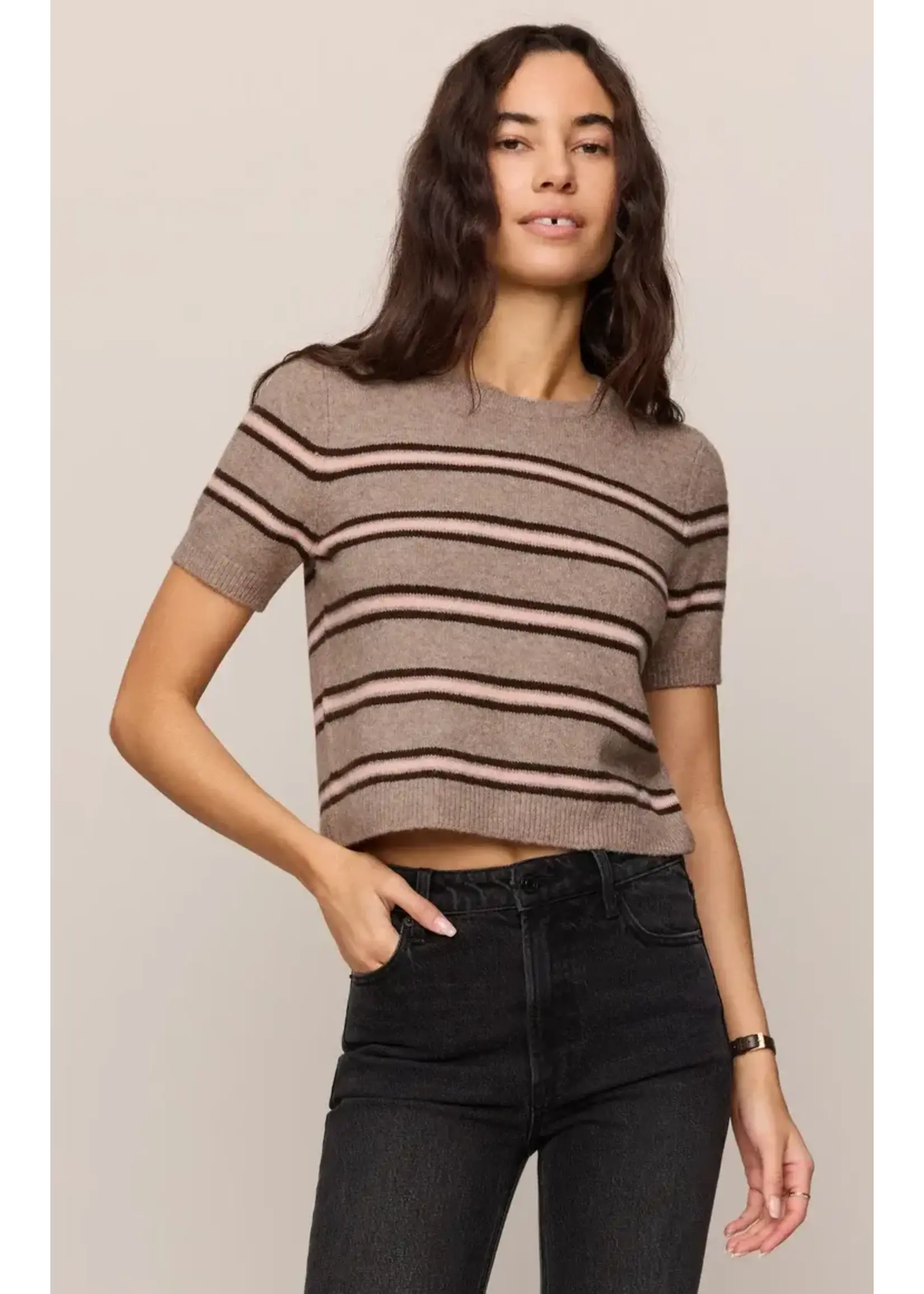 Z Supply ZS Gatewood Stripe Sweater