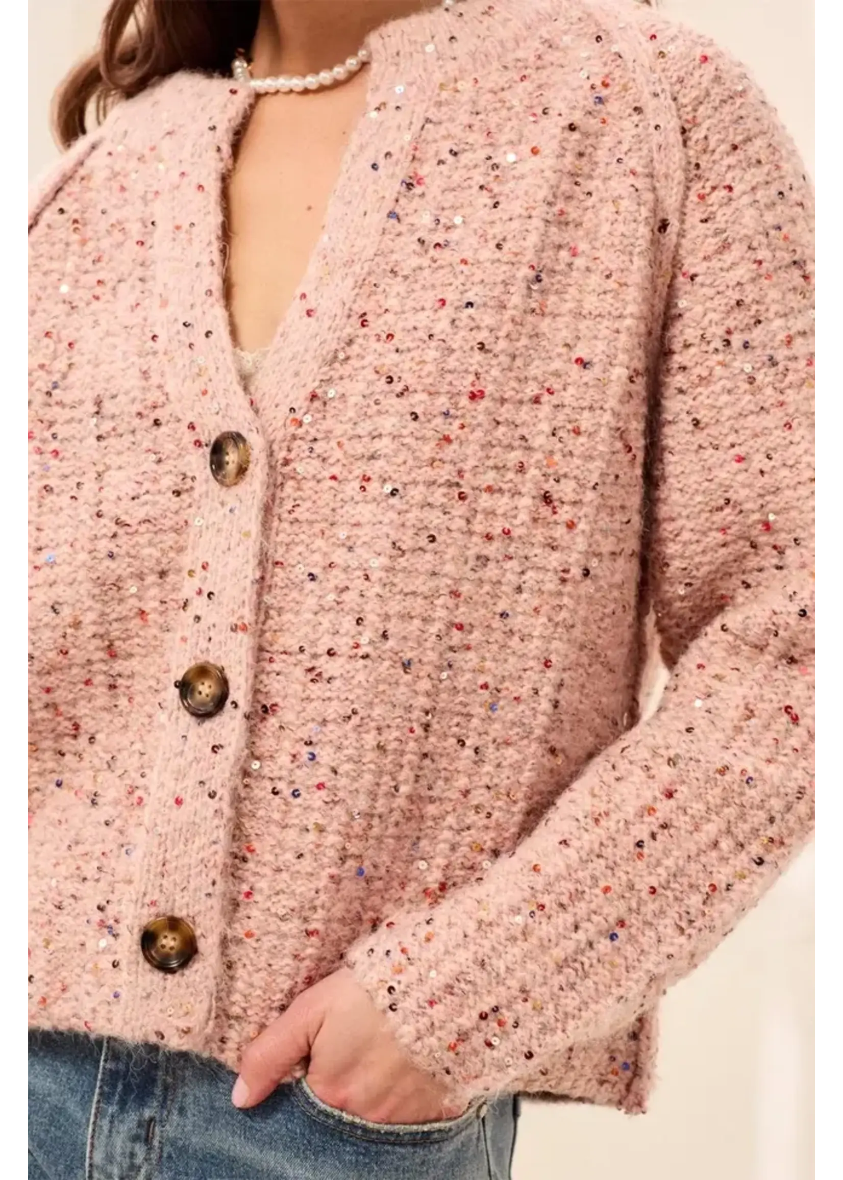 Tribal T Sequined Sweater Cardi