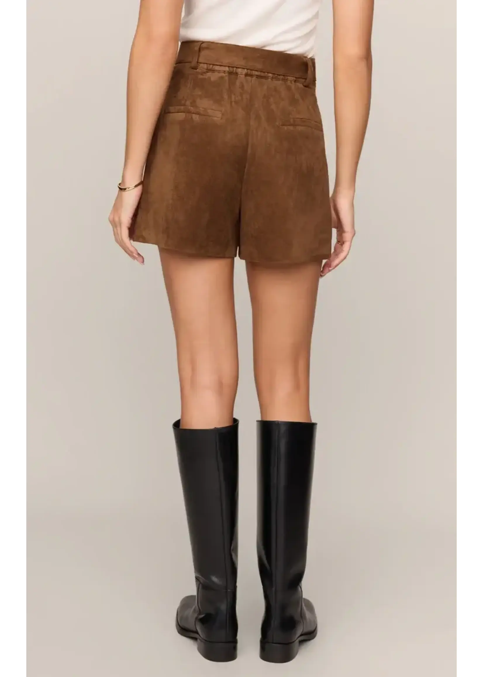 Z Supply ZS Suede Short