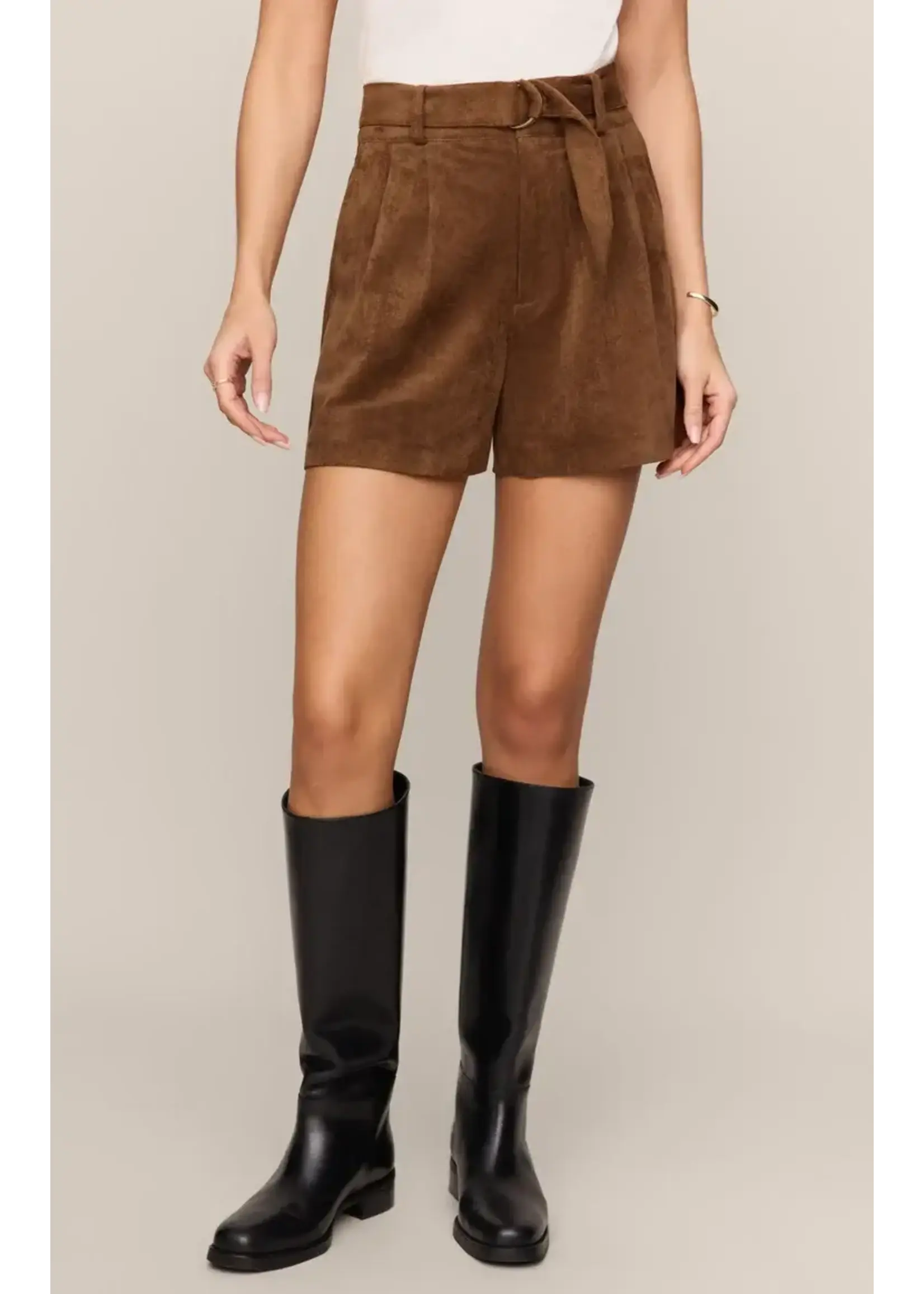 Z Supply ZS Suede Short