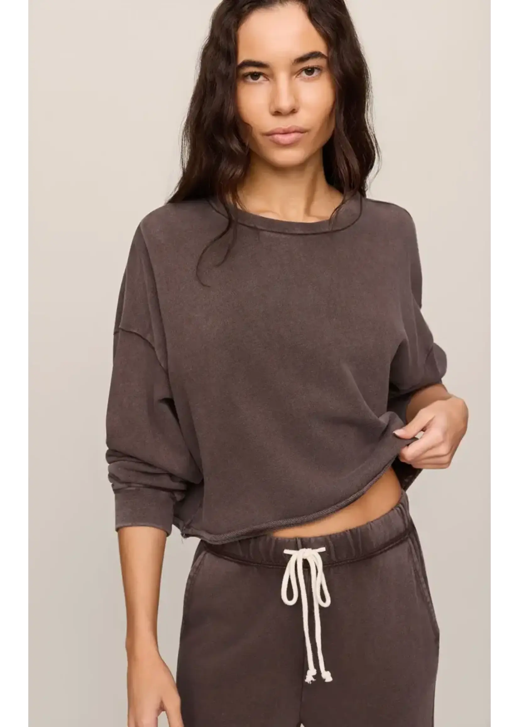 Z Supply ZS Circuit Crew Neck Sweatshirt