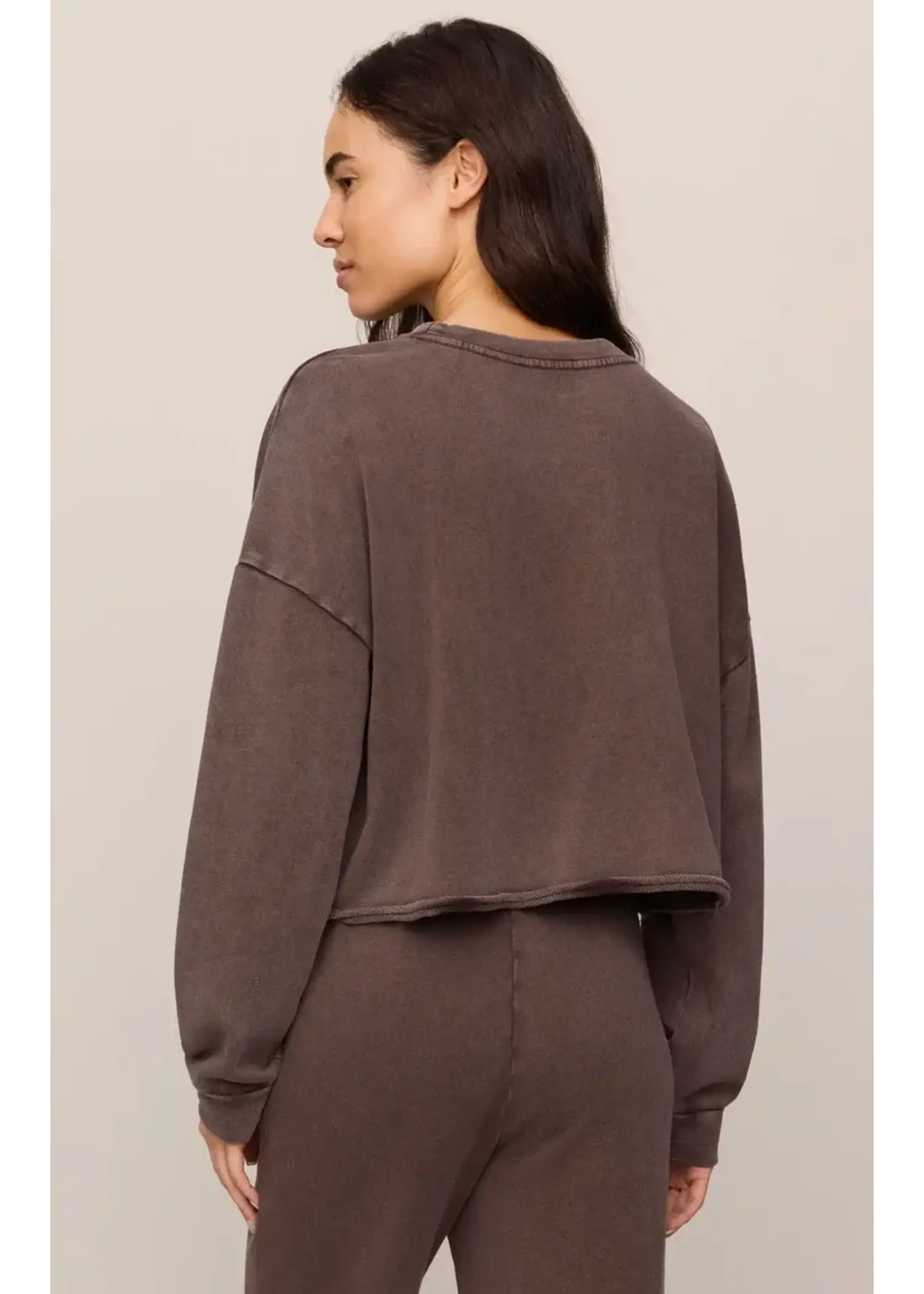 Z Supply ZS Circuit Crew Neck Sweatshirt