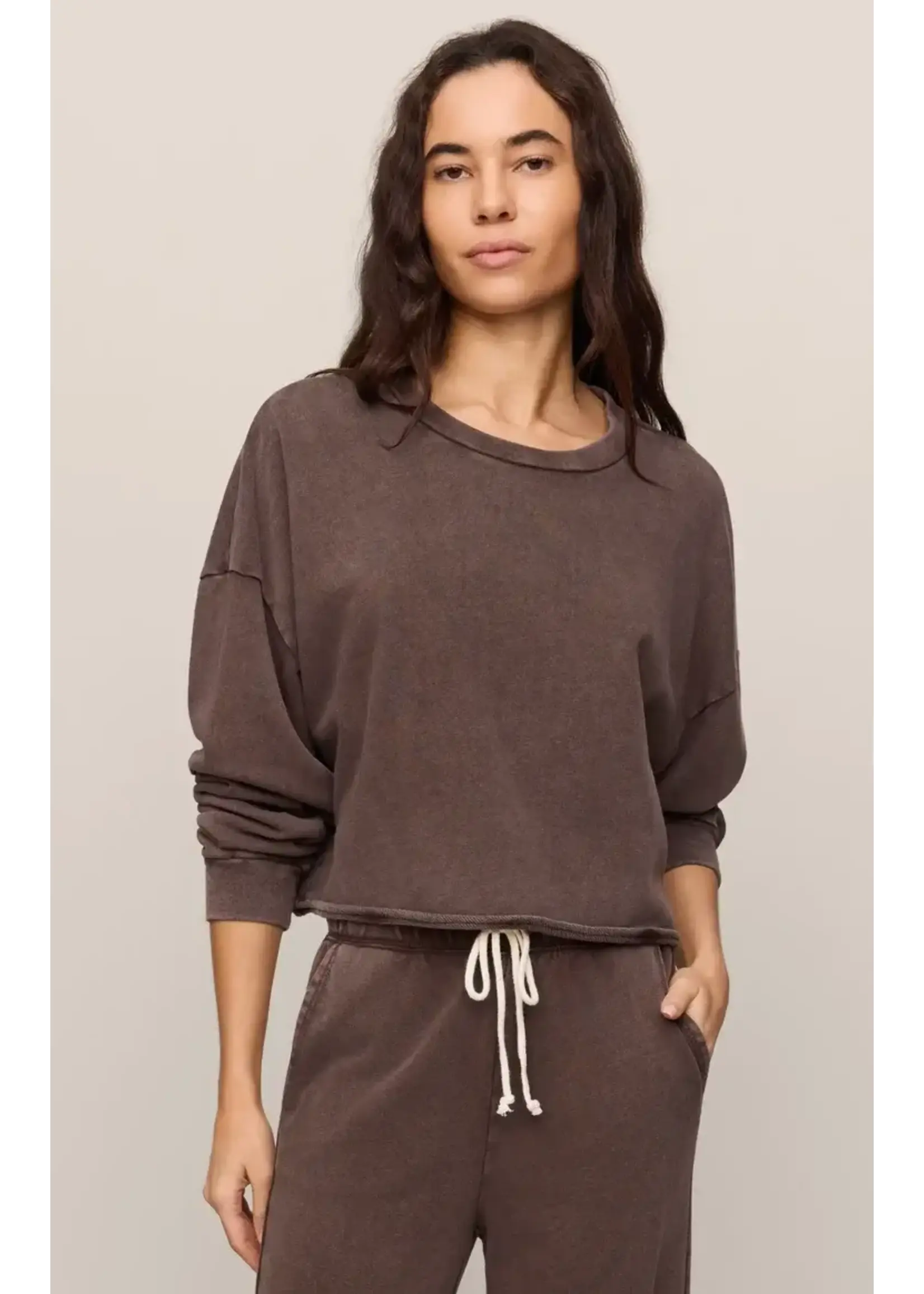 Z Supply ZS Circuit Crew Neck Sweatshirt