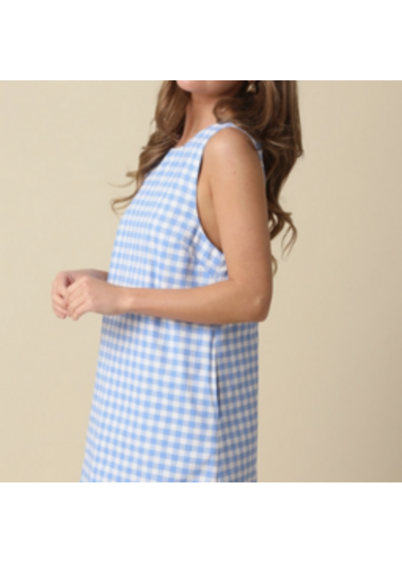 olivaceous O Blue Ginham Dress