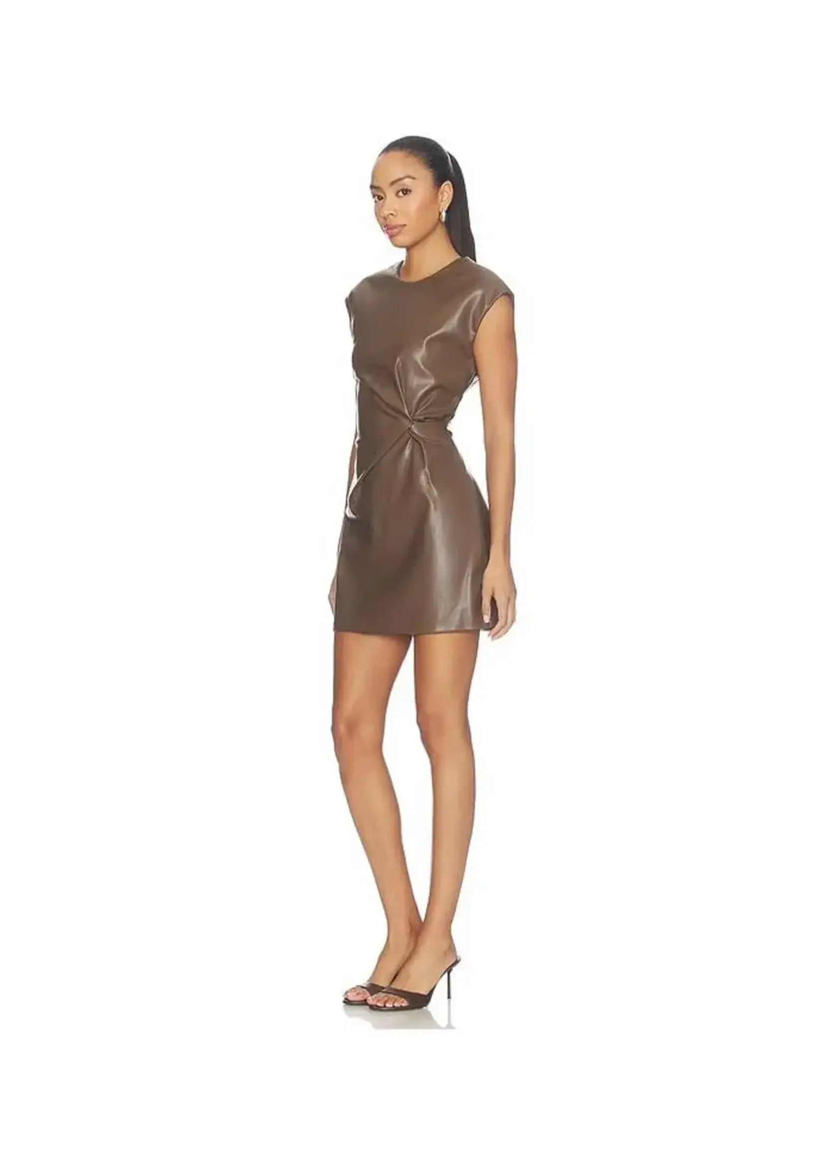 Steve Madden SM  Chiara Mini Dress