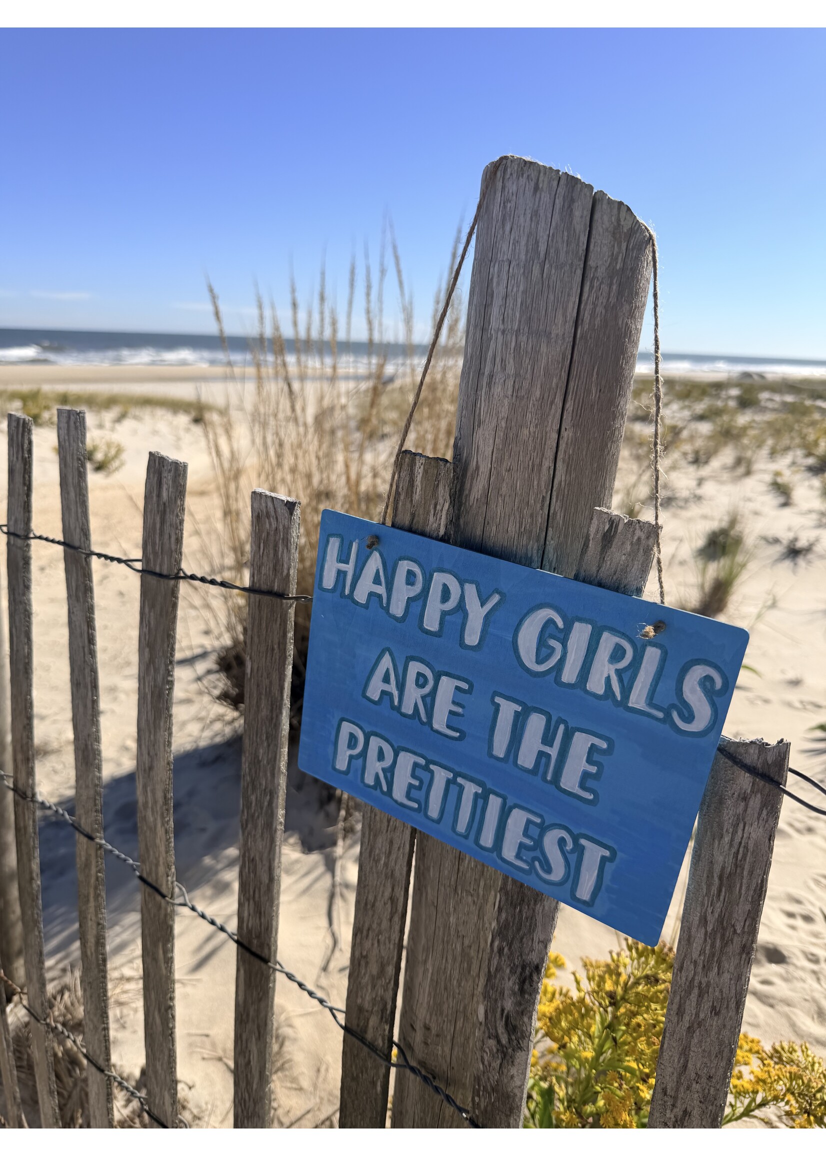 Wink W Happy Girls Sign