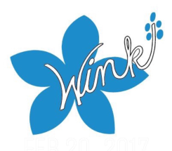 Wink Boutiques