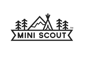 The mini scout