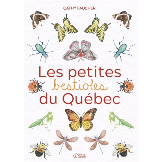 Goélette Les petites bestioles du Québec