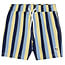 Miles Short de piscine Vertical Stripes