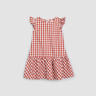 Miles Robe sans manches Red Gingham