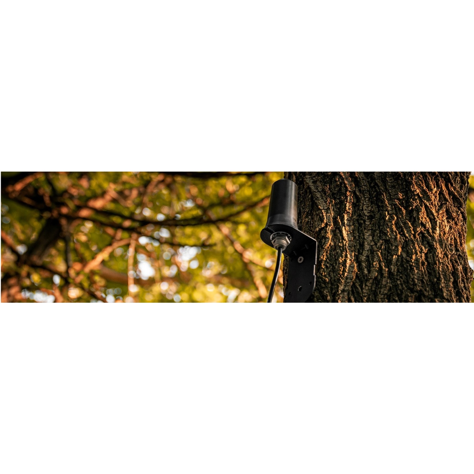 Spypoint Amplificateur De Signal Cellulaire/Ca-01
