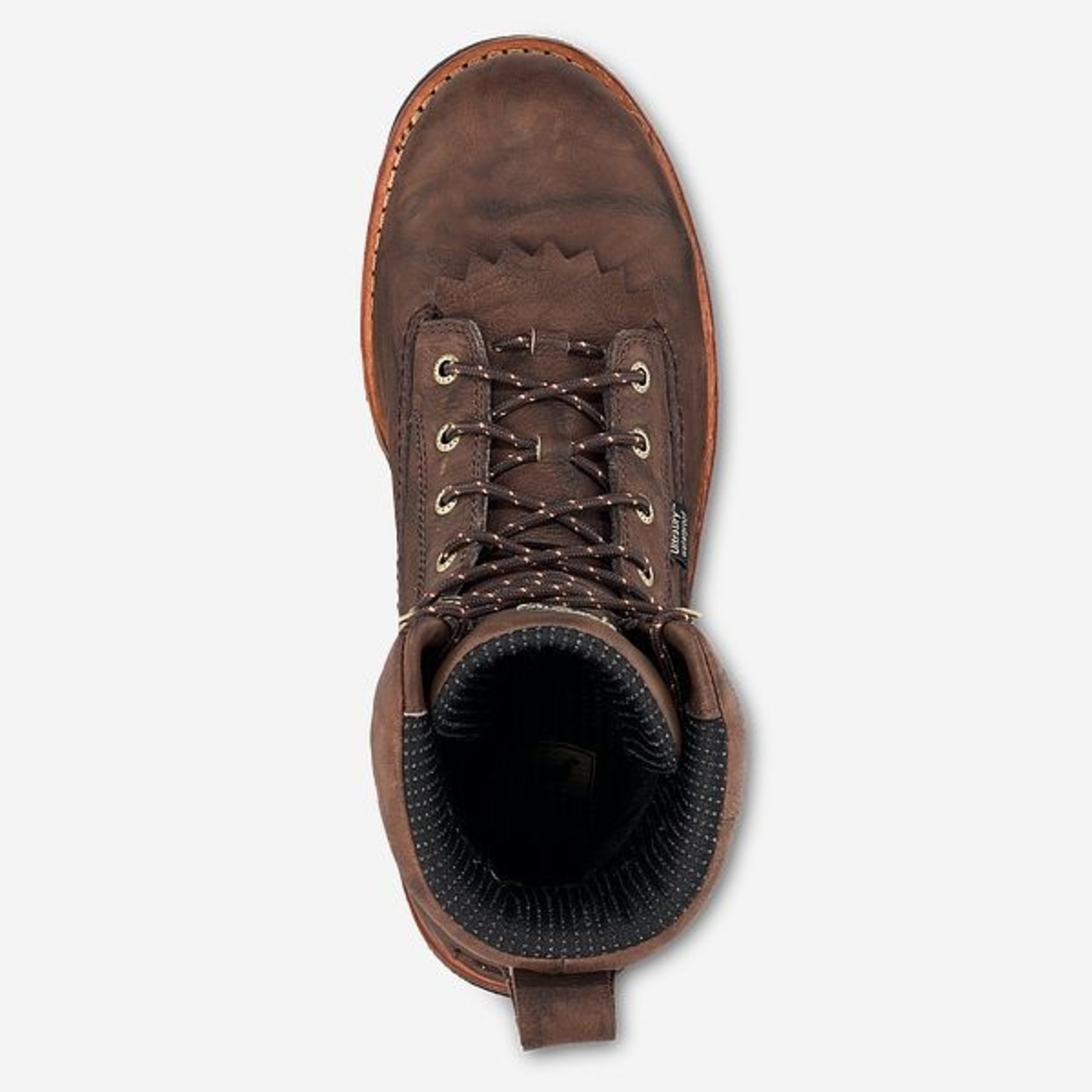 Irish Setter I.S. Elk Tracker 861-EE