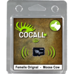 Cocall Carte Orignal Femelle