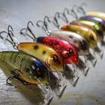 HARD BAITS