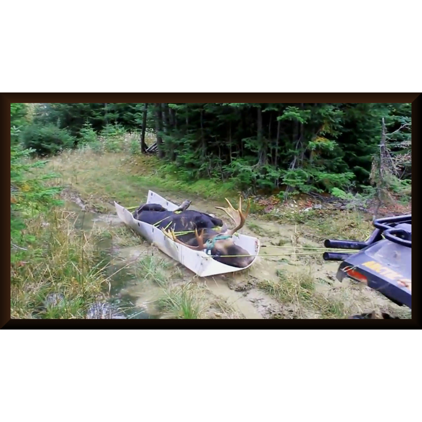 Animal Skidder Animal Skidder XL HD