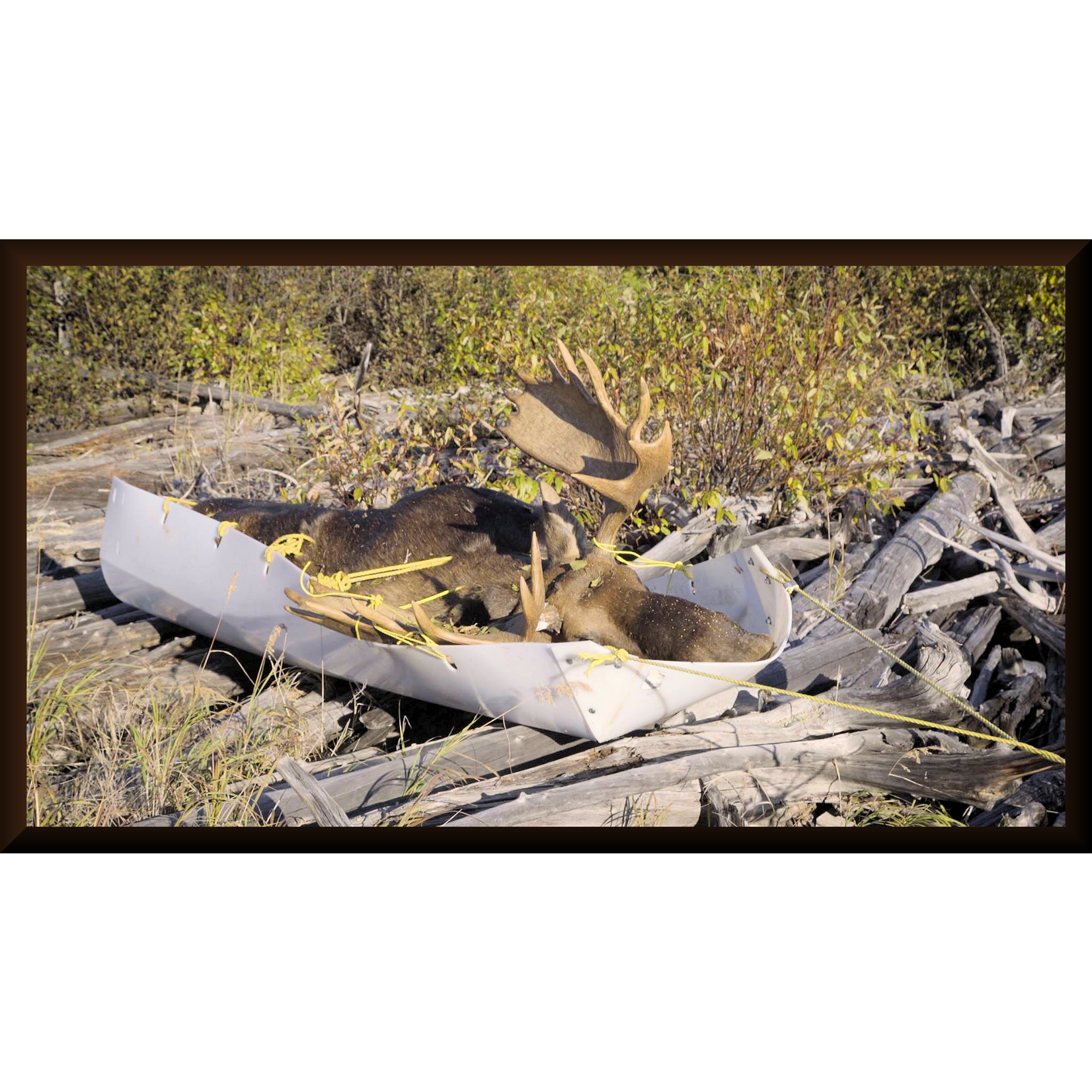 Animal Skidder Animal Skidder XL HD