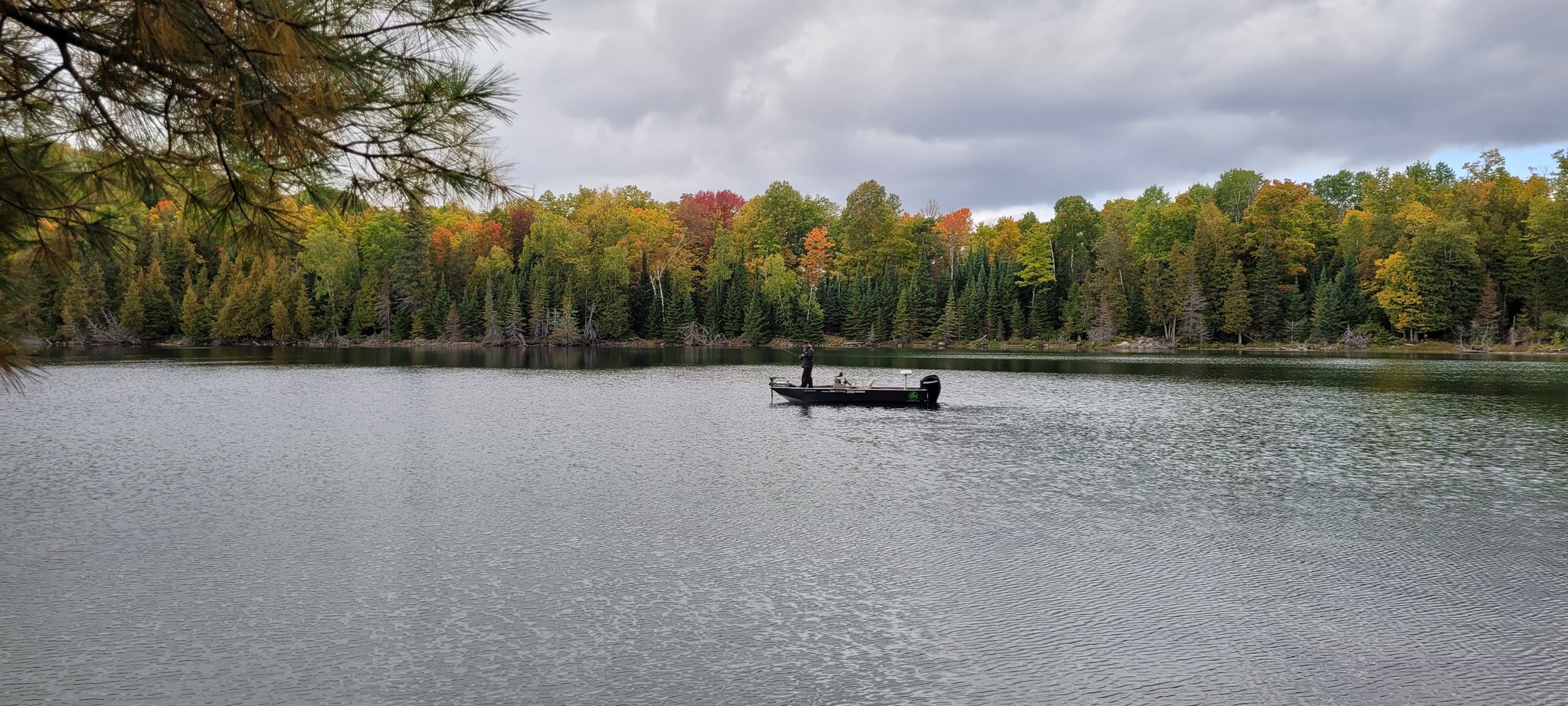 LE BLOGUE DU PÊCHEUR - Mastering Walleye Fishing: Essential Gear and  Techniques from Boutique l'Archerot - Boutique L'Archerot