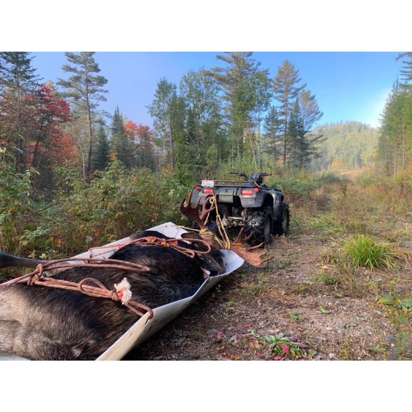 Animal Skidder Animal Skidder XL HD