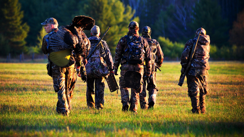 8 tips and tricks for wild turkey hunting