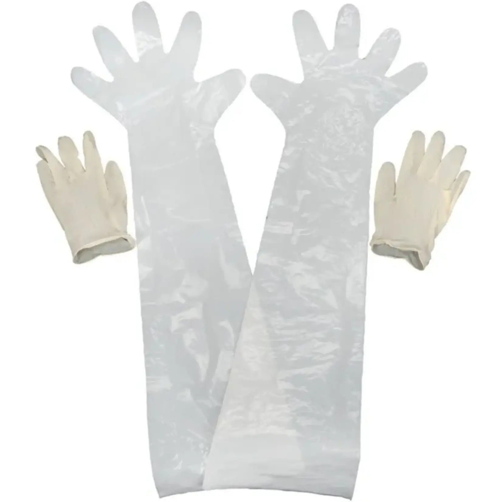 Allen Allen - Field Dressing Gloves, 2PK