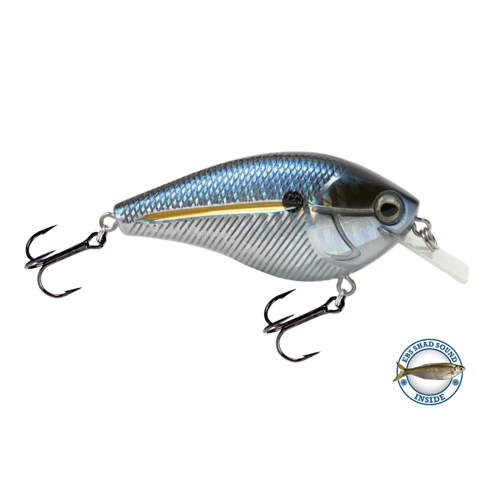 Shad Lure 