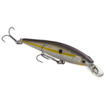 Strike King Strike King KVD Jerkbait 100