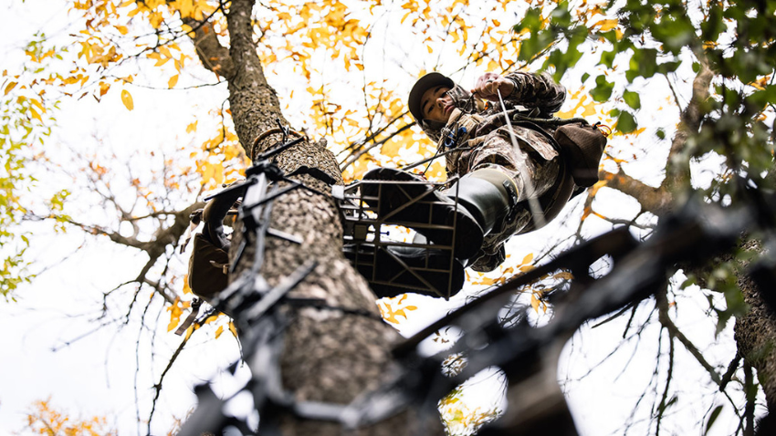 Pourquoi les Chasseurs Remplacent les Miradors par les Selles de Chasse?