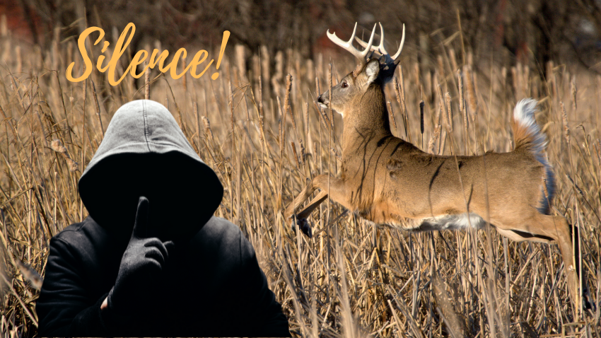 Silence is golden! Tactics for bow hunting mature whitetails.