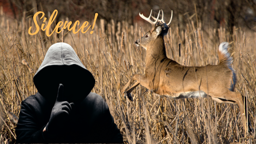 Le silence est d'or! Tactiques pour chasse au chevreuil mature à l'arc.