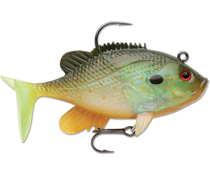 Wildeye Live Sunfish 03 Boutique l'Archerot