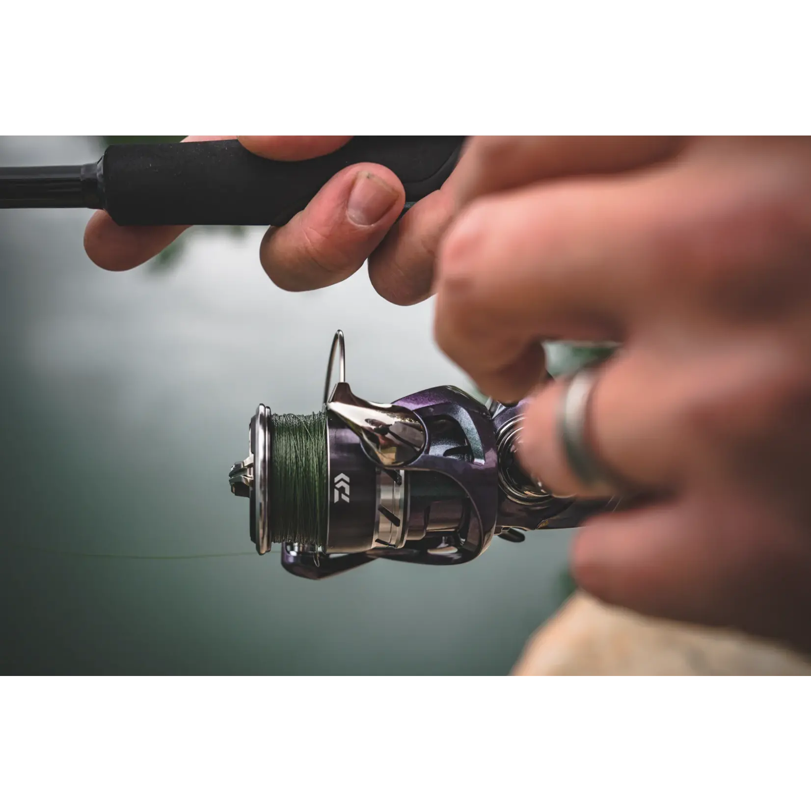 Daiwa Moulinet Lancer Léger Daiwa Regal LT B