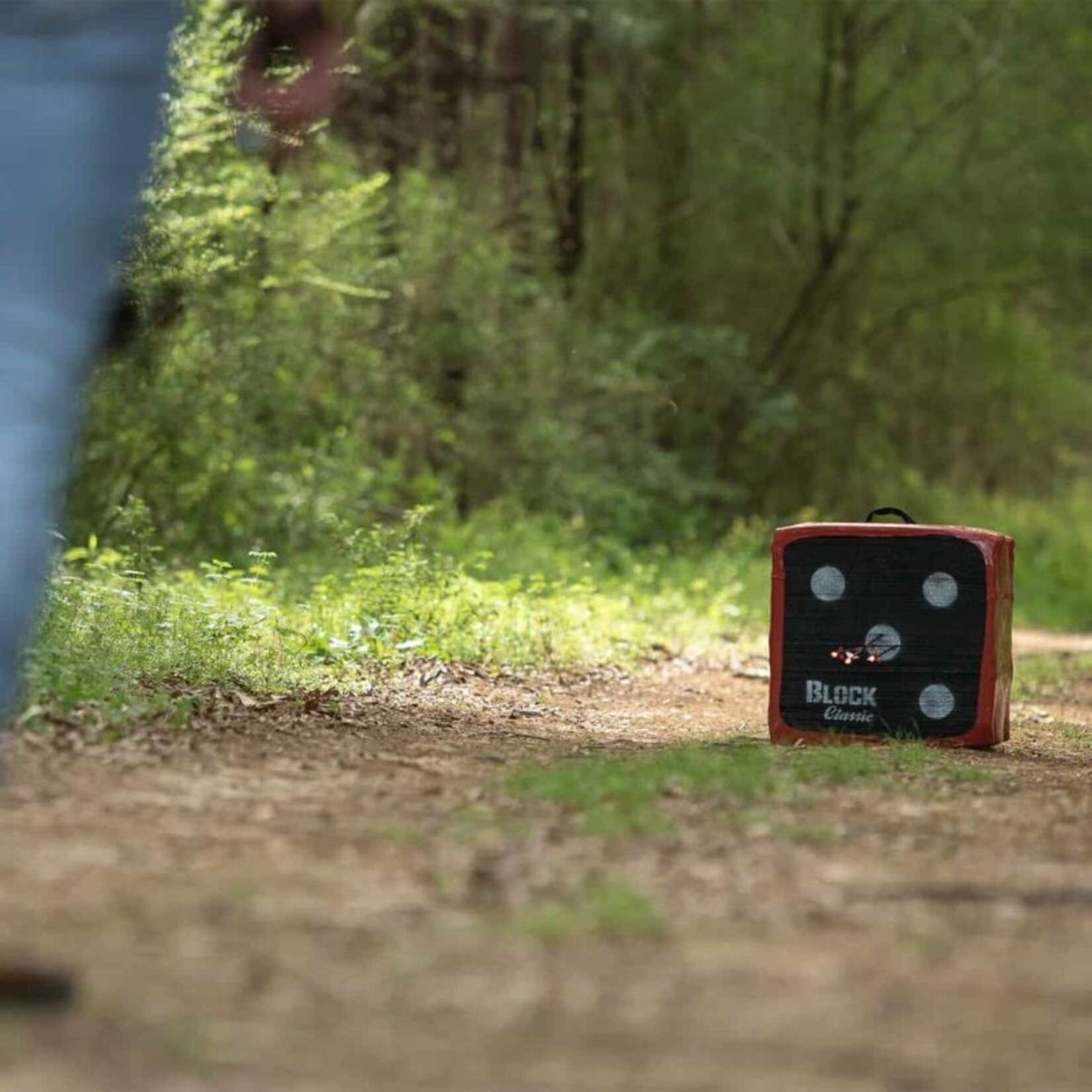 Block Block Classic 18 Archery Target 18"x13.5"x18"