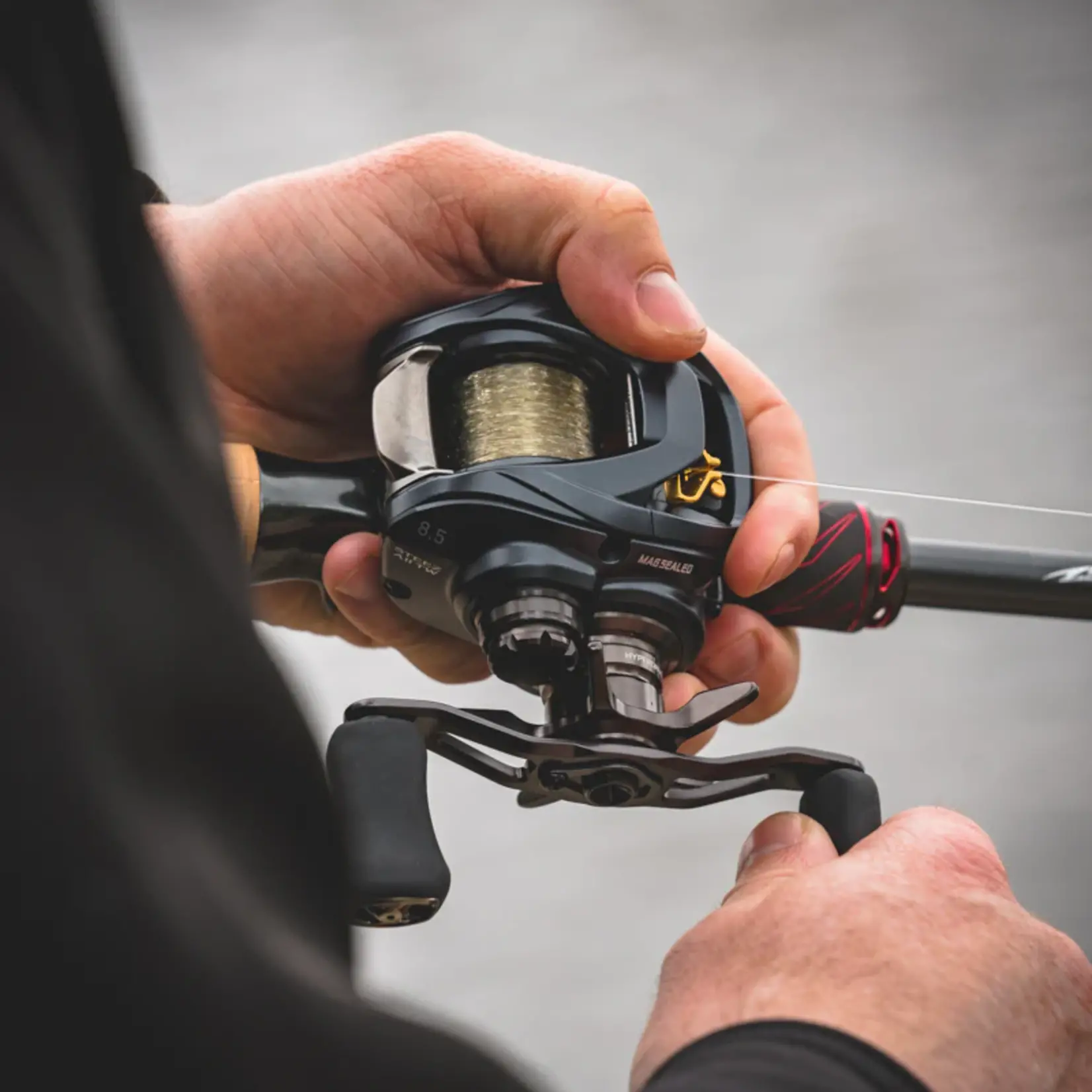 Daiwa Daiwa Steez A TW 100 Casting Reel