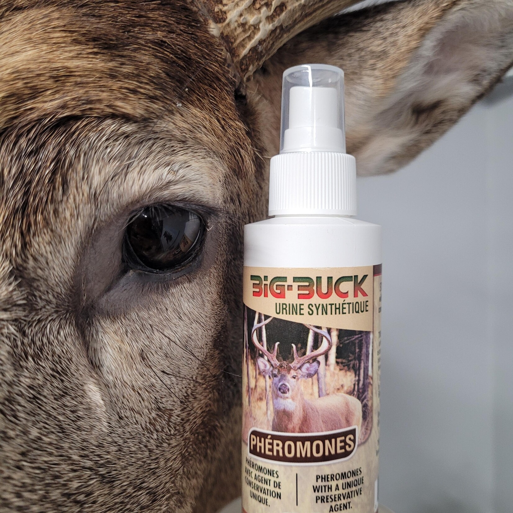 Tire-Buck Tire-Buck Big Buck Urine Synthétique Chevreuil