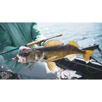 Daiwa Canne Lancer Léger Daiwa TD Eye