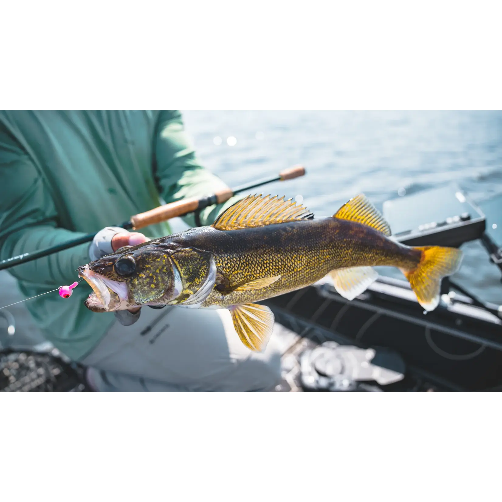 Daiwa Canne Lancer Léger Daiwa TD Eye